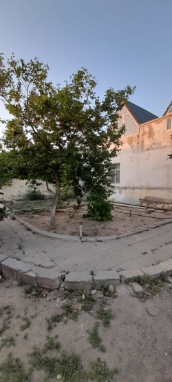 Bakı şəhəri, Abşeron rayonu, Novxanı qəsəbəsində bağ satılır (Elan: 204066)