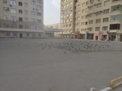 Bakı şəhəri, Xətai rayonunda, 3 otaqlı yeni tikili kirayə verilir (Elan: 205365)