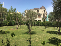 Bakı şəhəri, Binəqədi rayonunda, 2 otaqlı ev / villa kirayə verilir (Elan: 328018)