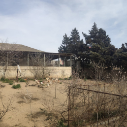 Bakı şəhəri, Sabunçu rayonunda, 3 otaqlı ev / villa satılır (Elan: 324005)