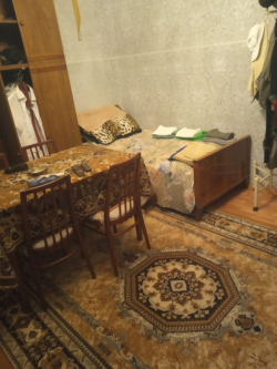 Bakı şəhəri, Yasamal rayonunda, 1 otaqlı ev / villa kirayə verilir (Elan: 330861)