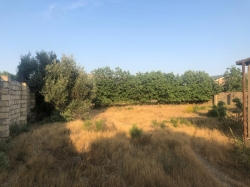 Bakı şəhəri, Abşeron rayonu, Görədil qəsəbəsində torpaq satılır (Elan: 205761)