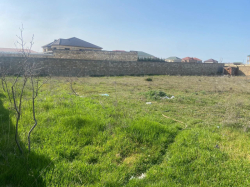 Bakı şəhəri, Abşeron rayonu, Novxanı qəsəbəsində torpaq satılır (Elan: 335926)