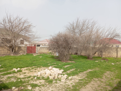 Bakı şəhəri, Abşeron rayonu, Digah qəsəbəsində torpaq satılır (Elan: 335775)