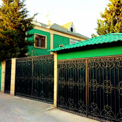 Bakı şəhərində, 8 otaqlı ev / villa kirayə verilir (Elan: 271493)