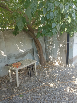 Bakı şəhərində, 2 otaqlı ev / villa satılır (Elan: 236594)