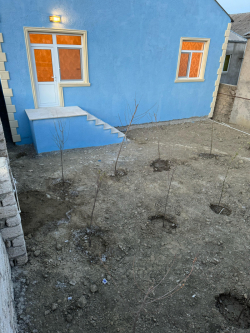 Bakı şəhəri, Sabunçu rayonunda, 3 otaqlı ev / villa satılır (Elan: 328638)