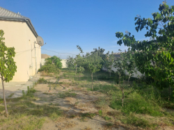Bakı şəhəri, Abşeron rayonu, Novxanı qəsəbəsində, 3 otaqlı ev / villa satılır (Elan: 339225)