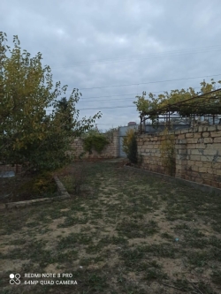 Bakı şəhəri, Abşeron rayonu, Görədil qəsəbəsində bağ satılır (Elan: 231152)