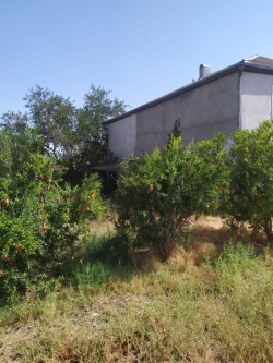 Bakı şəhəri, Abşeron rayonu, Saray qəsəbəsində, 5 otaqlı ev / villa satılır (Elan: 236921)
