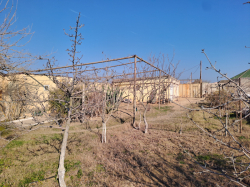 Bakı şəhəri, Xəzər rayonu, Zirə qəsəbəsində bağ satılır (Elan: 320359)