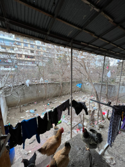 Bakı şəhəri, Suraxanı rayonunda, 5 otaqlı yeni tikili satılır (Elan: 278546)