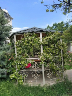 Bakı şəhərində, 6 otaqlı ev / villa satılır (Elan: 236652)