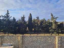Bakı şəhəri, Sabunçu rayonu, Nardaran qəsəbəsində, 6 otaqlı ev / villa satılır (Elan: 321992)