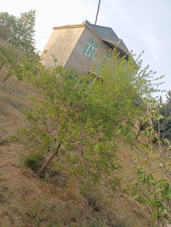 Bakı şəhəri, Sabunçu rayonu, Nardaran qəsəbəsində, 5 otaqlı ev / villa satılır (Elan: 329597)