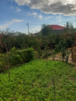 Bakı şəhəri, Binəqədi rayonu, Biləcəri qəsəbəsində torpaq satılır (Elan: 206200)