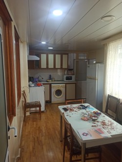 image 310004