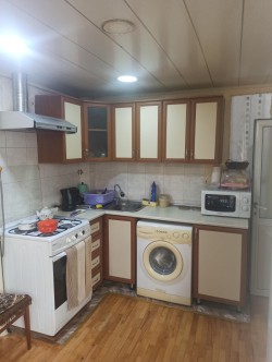 image 310004