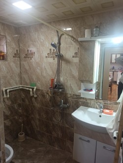 image 310004