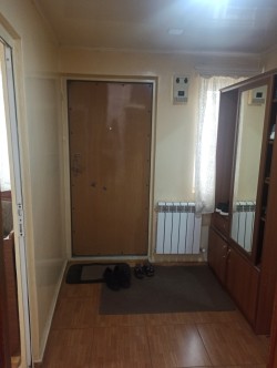 image 310004