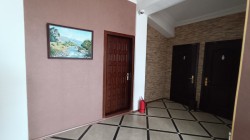 image 310028