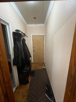 image 310072