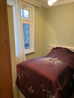 image 310072