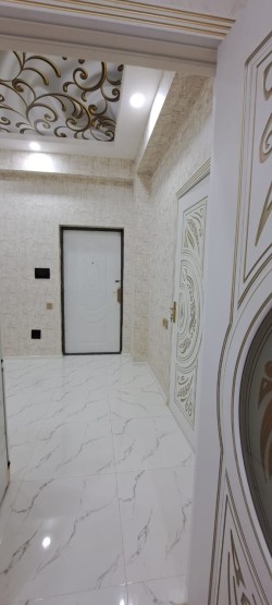 image 310074