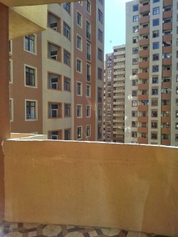 image 310077