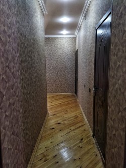 image 310077
