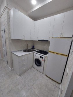 image 310078