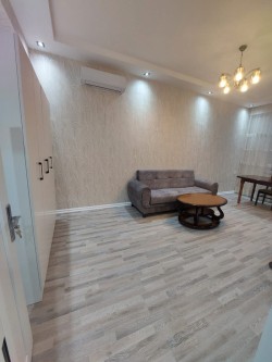 image 310078