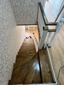 image 310106