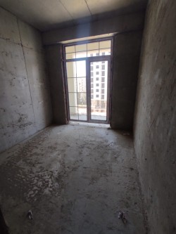 image 310235
