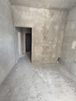 image 310235