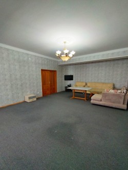 image 310241