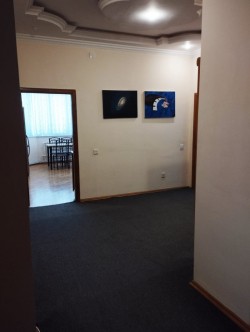 image 310241