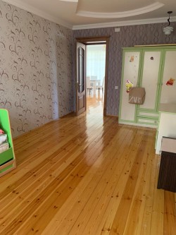image 310250