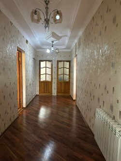 image 310371