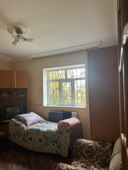image 310371