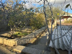 image 310371
