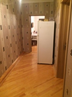 image 310406