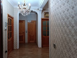 image 310436