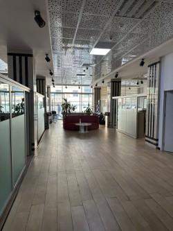 image 310467
