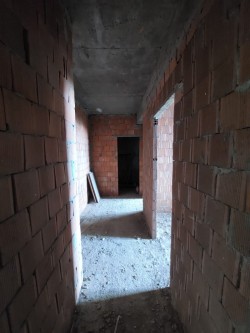 image 310478