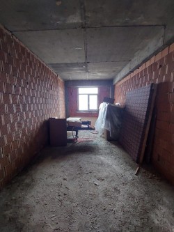 image 310478