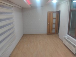 image 310519