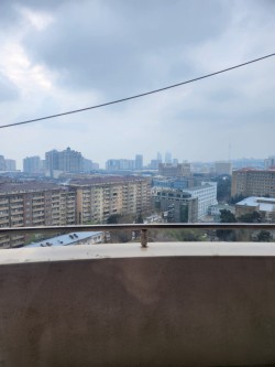 image 310547