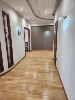 image 310547