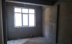 image 310595